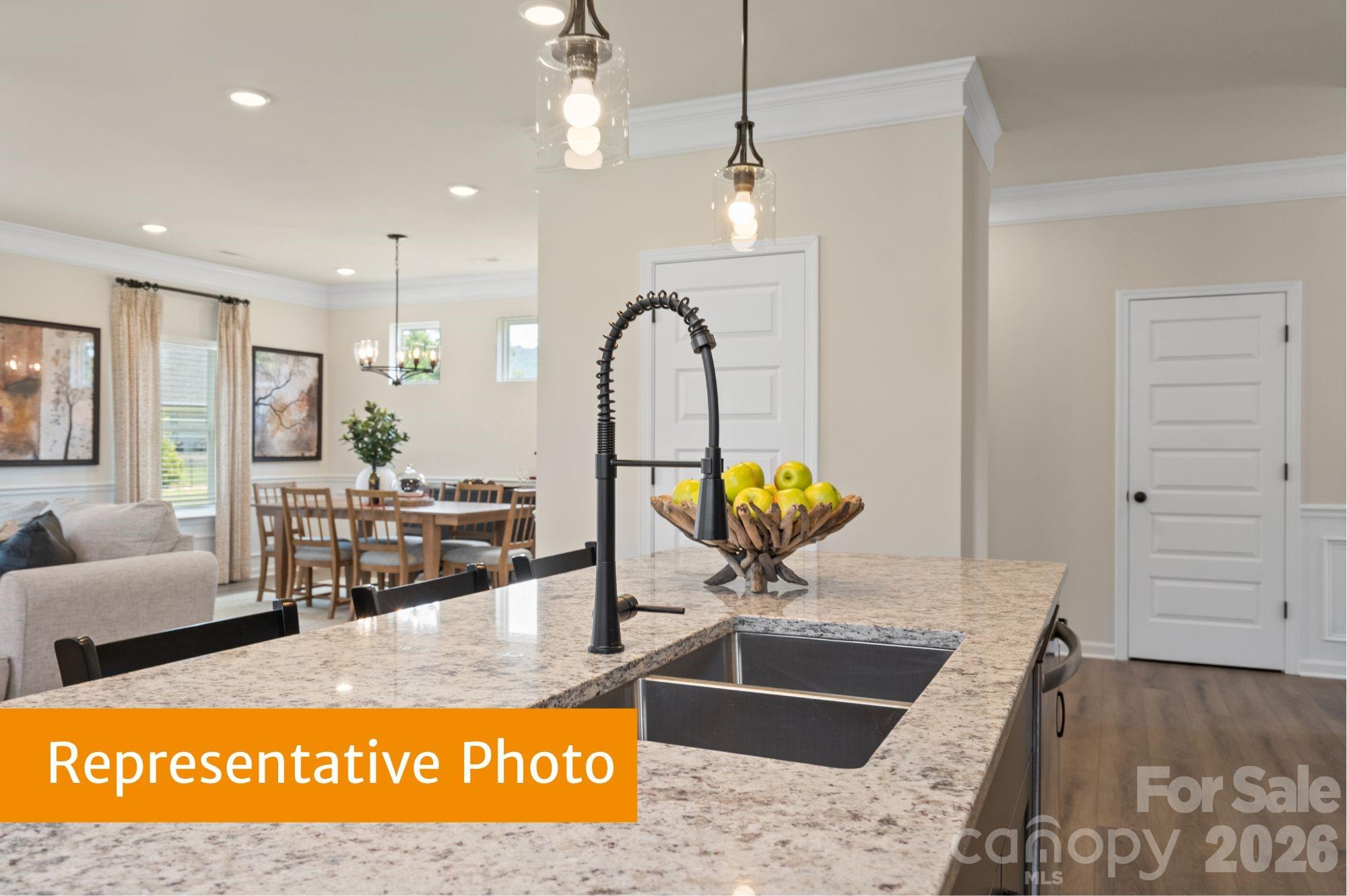 4232 Ruth Creek Ct, Charlotte, NC 28216