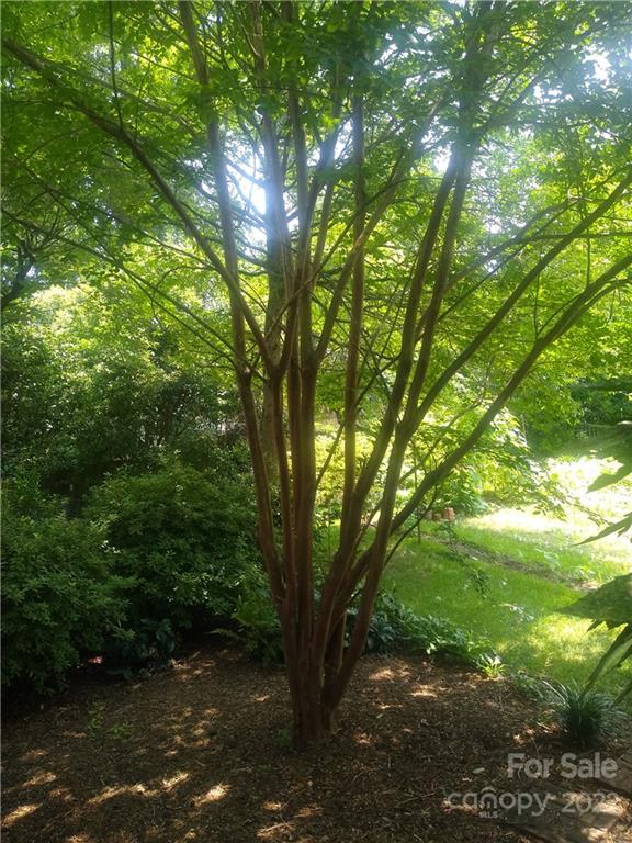 3397 Camp Julia Rd, Kannapolis, NC 28083