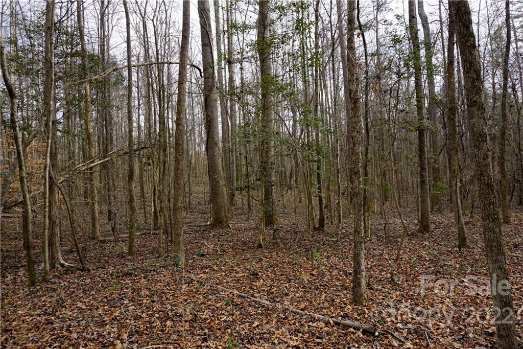 9 AC Burree Rd, Clover, SC 29710