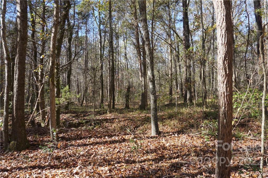 10.64 AC Burree Rd, Clover, SC 29710