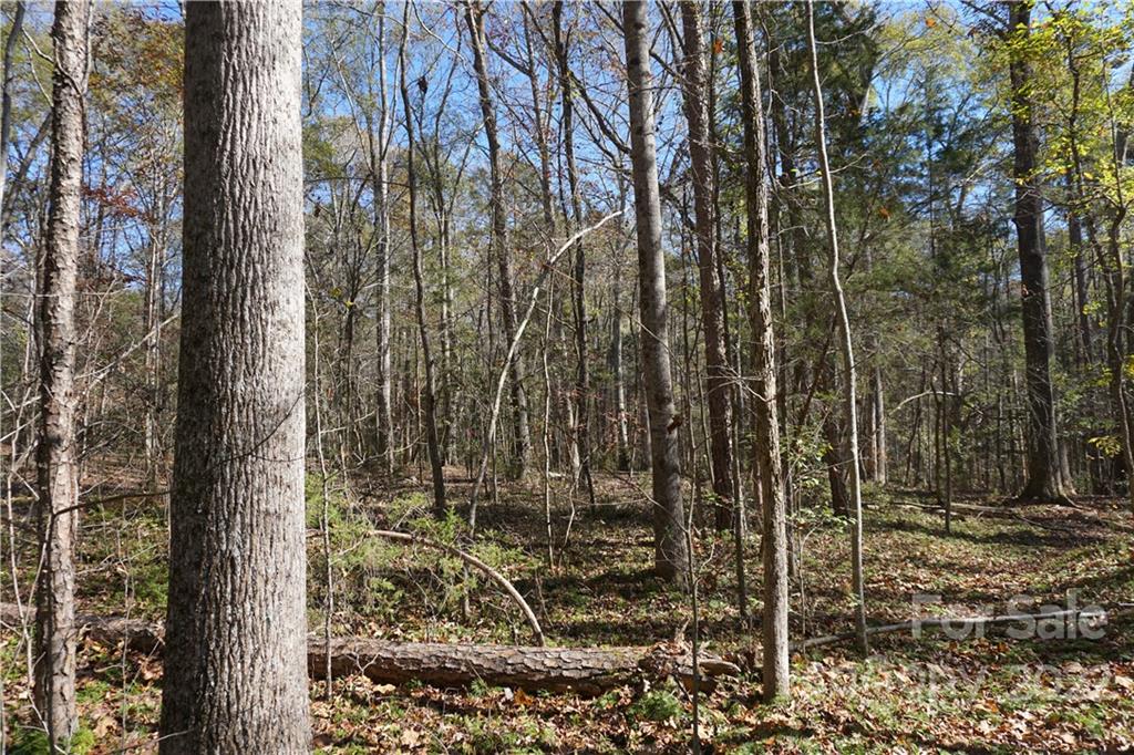 10.64 AC Burree Rd #6, Clover, SC 29710