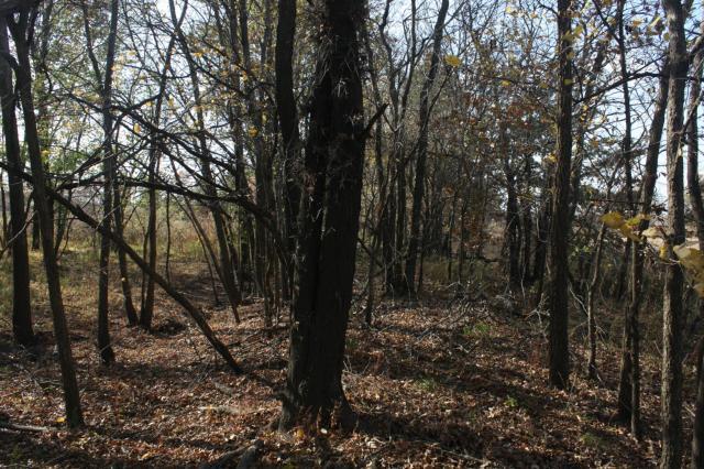 Hog Ridge Ave, Sumner, MO 64681