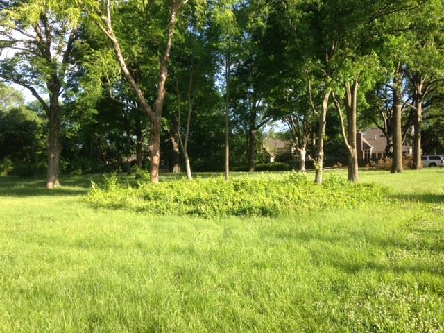 10210 Mission Rd, Overland Park, KS 66206