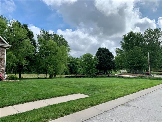 1110 Devonshire Ter, Greenwood, MO 64034