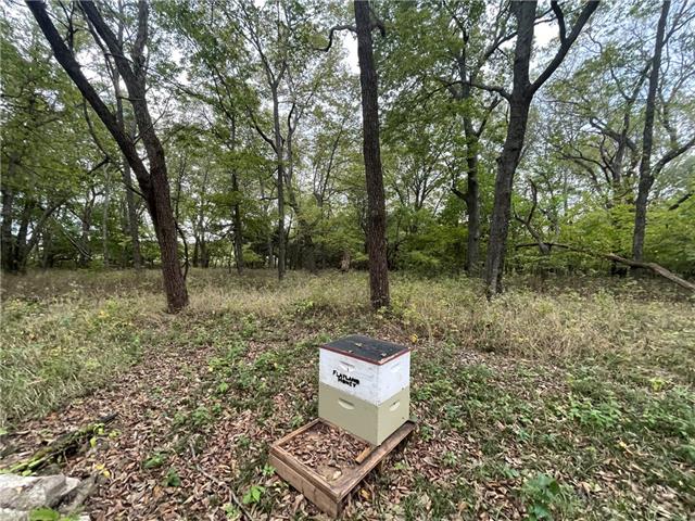 Gorman Rd, Blue Mound, KS 66010