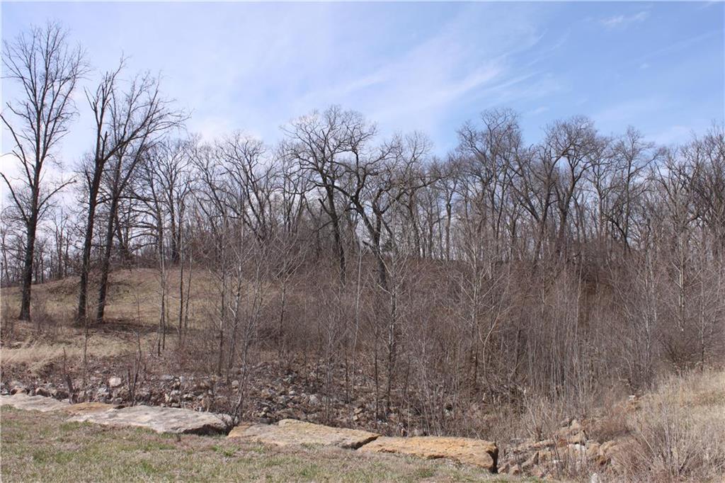9900 N Cypress Ave #LT 10, Kansas City, MO 64156