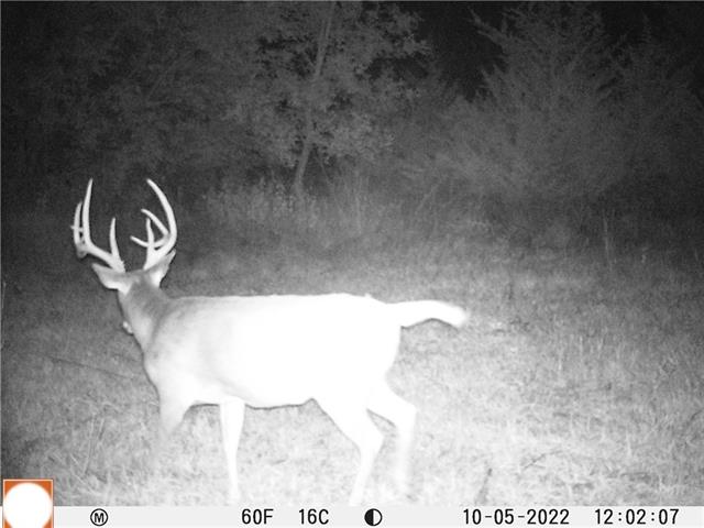 U S 169 Hw, Grant City, MO 64456