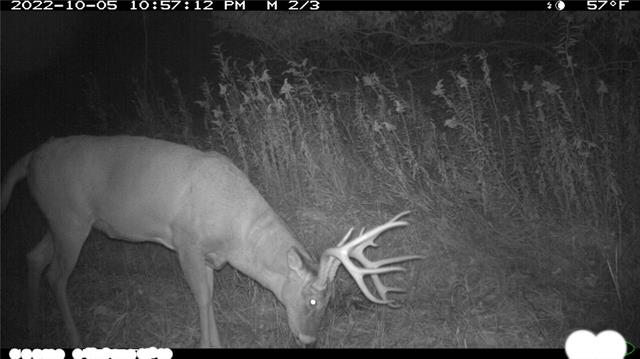 U S 169 Hw, Grant City, MO 64456