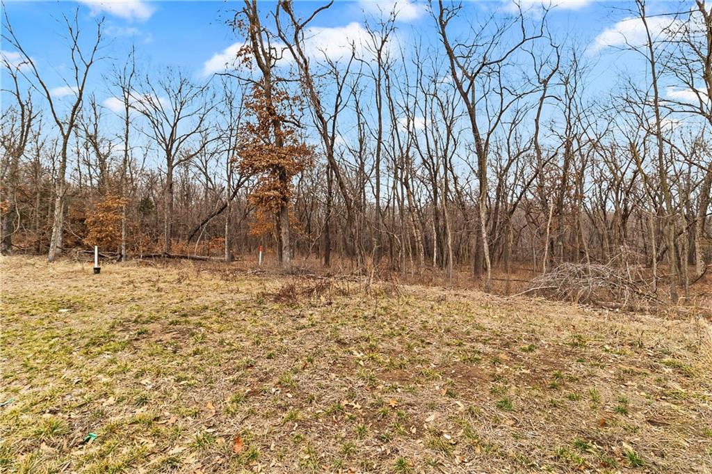 16909 Wallace Way, Loch Lloyd, MO 64012
