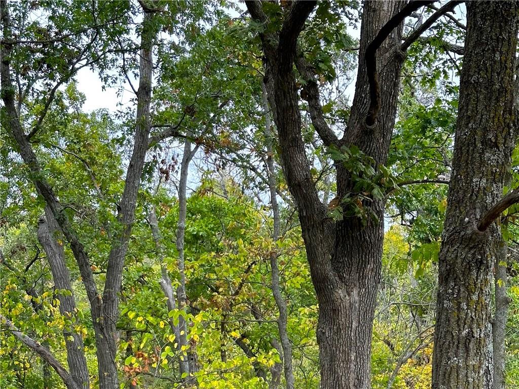 00000 Ferguson Rd, Ozawkie, KS 66070