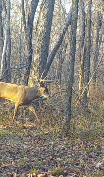 0000 Aa Hw, Pattonsburg, MO 64670
