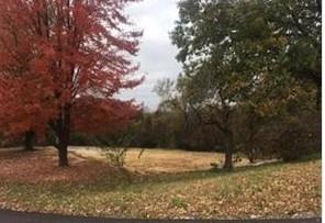 714 N 7th St, Edwardsville, KS 66111