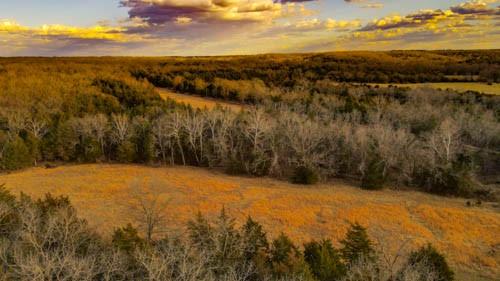 18779 Cr 64 N/A, Wheatland, MO 65779