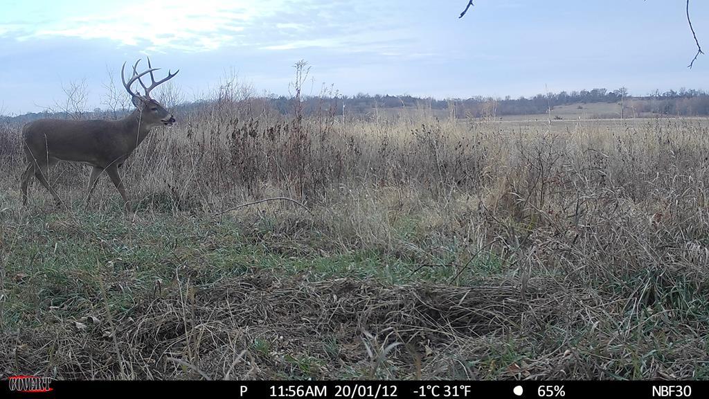 00000 Quinter Rd, Altoona, KS 66710