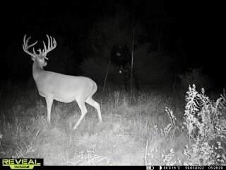 00000 Us75 Hwy N/A, Altoona, KS 66710