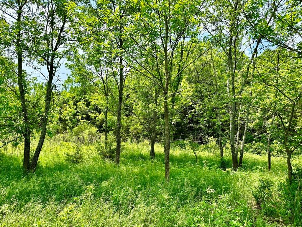 00000 Us75 Hwy N/A, Altoona, KS 66710