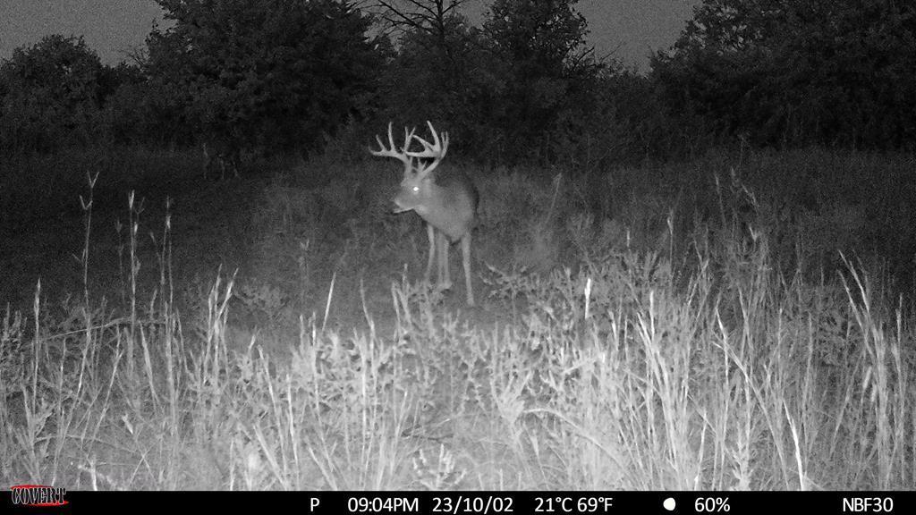 0 1400 Rd, Altoona, KS 66710