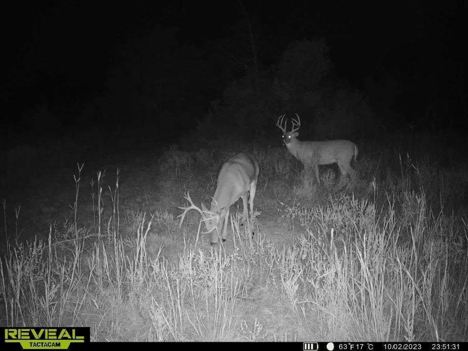 0 1400 Rd, Altoona, KS 66710