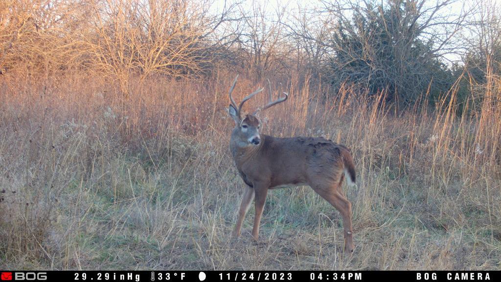 2423 25th Rd, Chanute, KS 66720