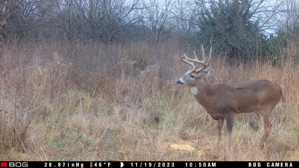 2423 25th Rd, Chanute, KS 66720