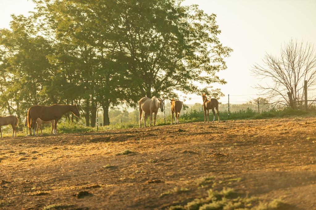 9902 31 Hw, Stewartsville, MO 64490