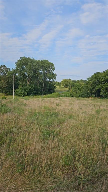 13502 La Monte Rd, La Monte, MO 65337