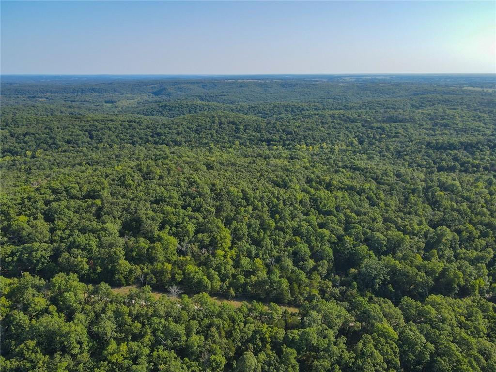 TBD County Road 64 N/A, Wheatland, MO 65779