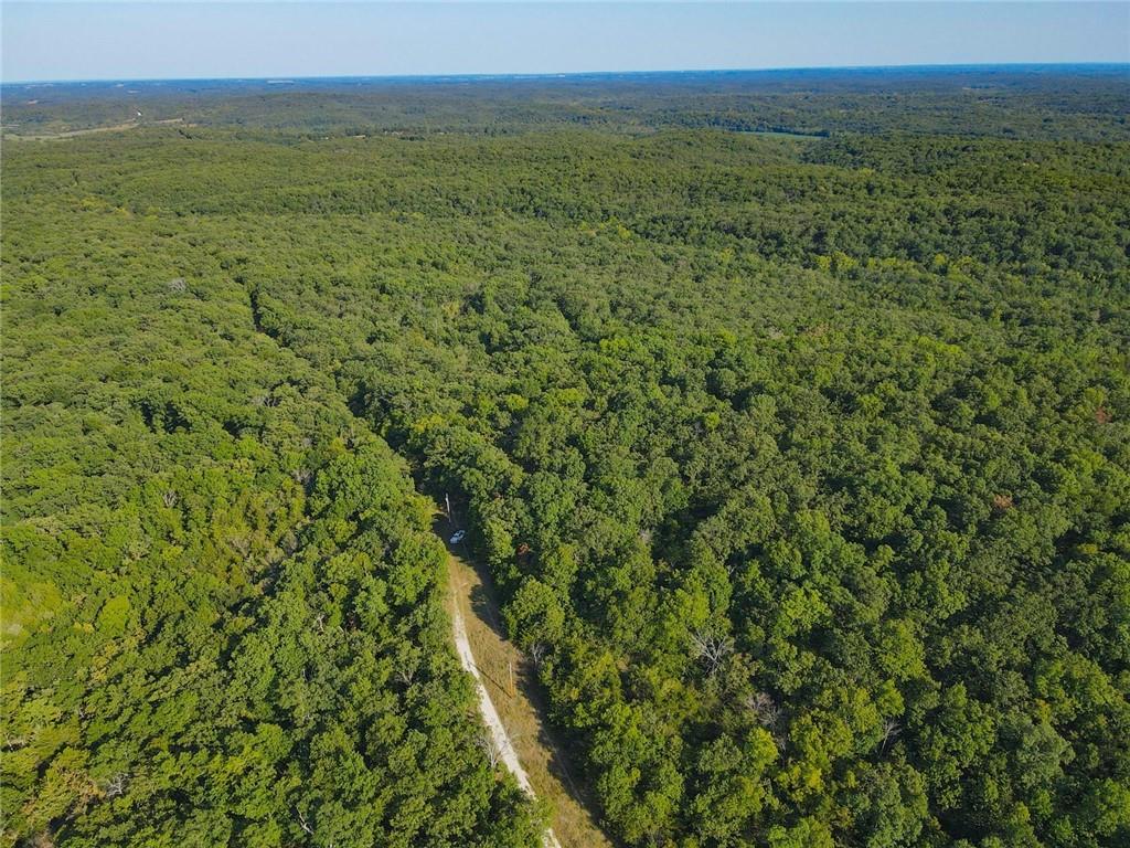 TBD County Road 64 N/A, Wheatland, MO 65779