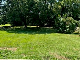 4124 S Minnie St, Kansas City, KS 66103