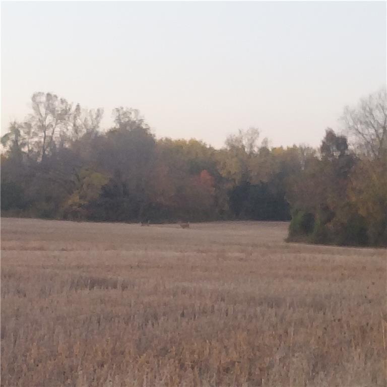 13-Acres E 315th St, Drexel, MO 64742