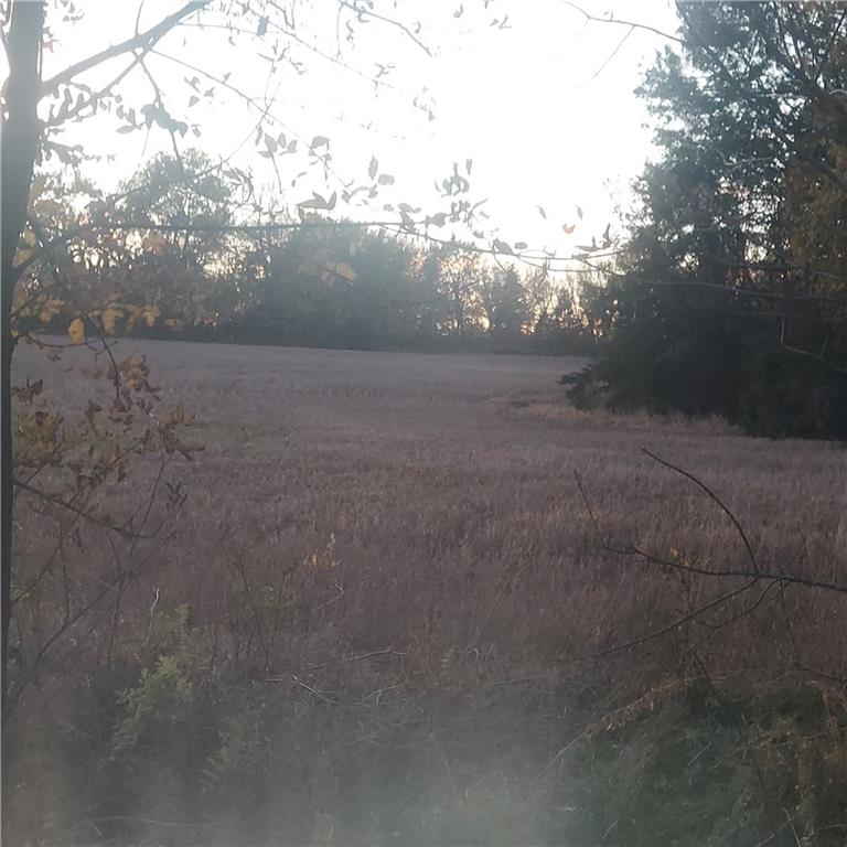 4-acres E 315th St, Drexel, MO 64742