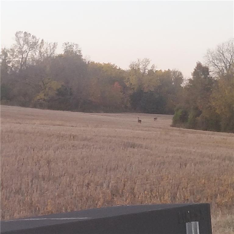 4-acres E 315th St, Drexel, MO 64742