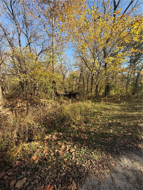 33205 E 179th St, Pleasant Hill, MO 64080