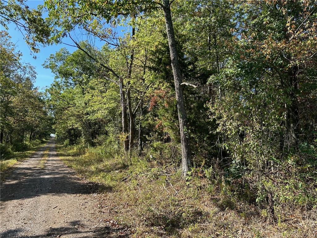 S 250th Rd, Hume, MO 64752