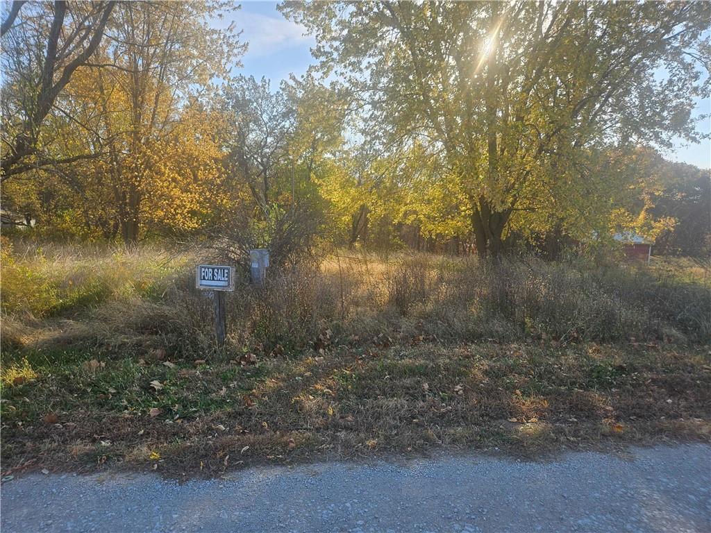 Seminole Dr, Lathrop, MO 64465