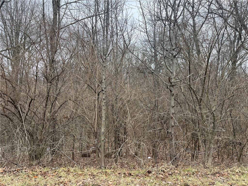 Lot NW 68th St, Kansas City, MO 64151