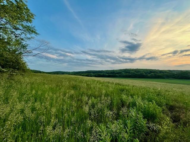 10.01 Acres ML N 800 Rd, Baldwin City, KS 66006