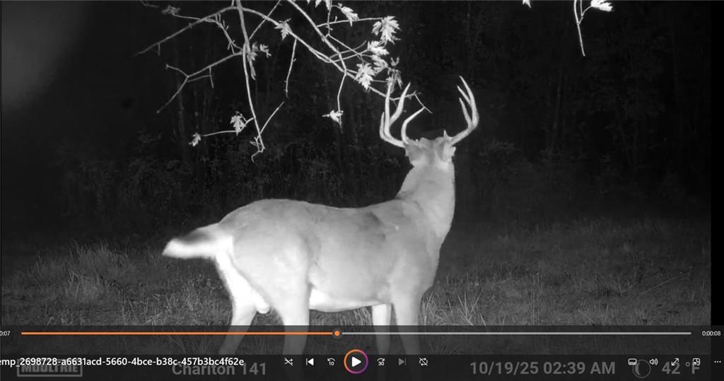 Clark Rd, Marceline, MO 64658
