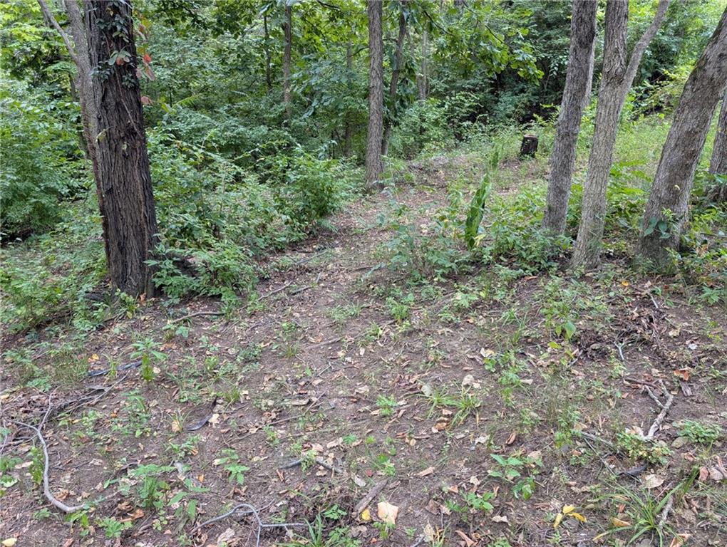 6136 County Line Rd, Kansas City, KS 66106