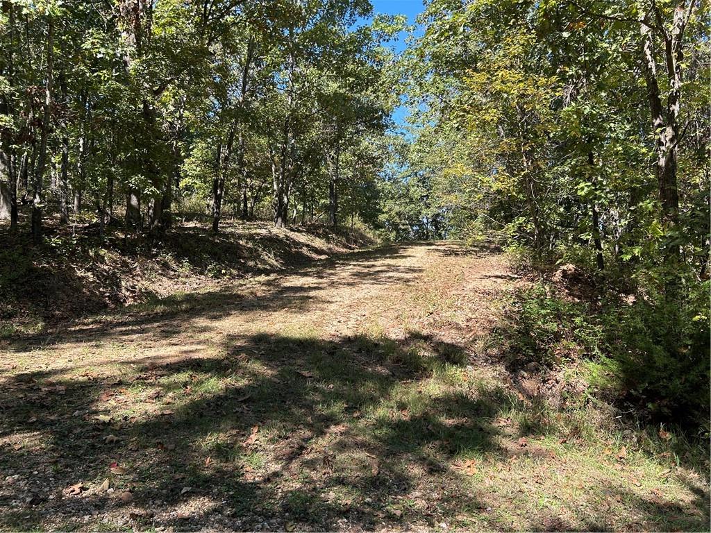 Off Kip Dr, Edwards, MO 65326