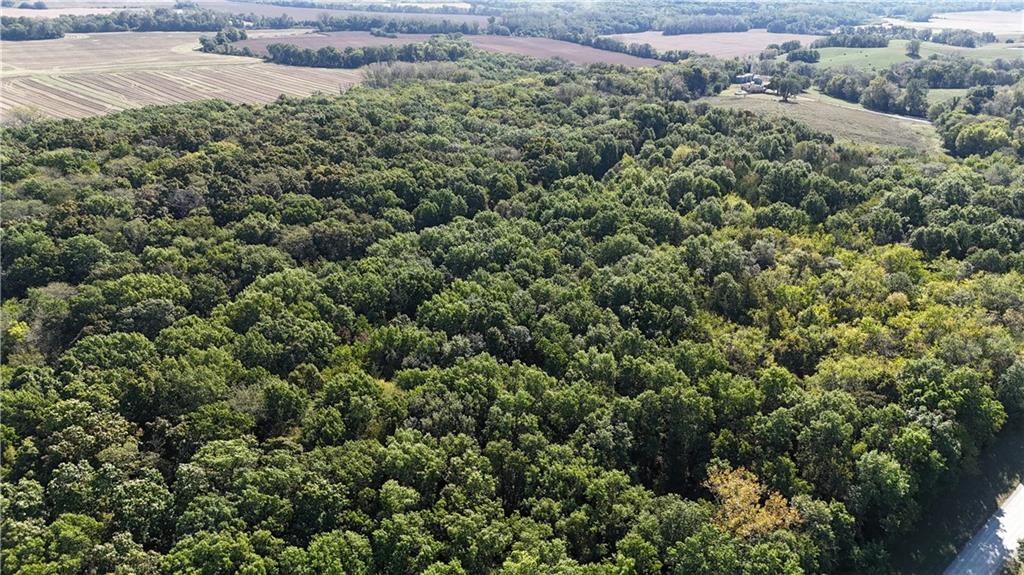 290 Rd, Cosby, MO 64436
