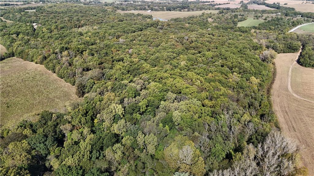 290 Rd, Cosby, MO 64436