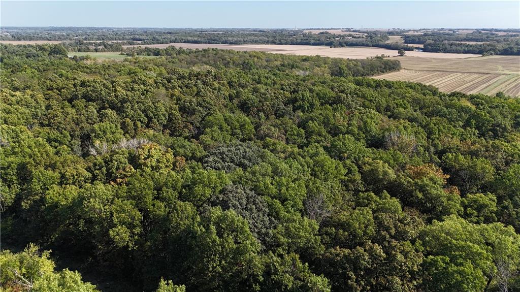 290 Rd, Cosby, MO 64436