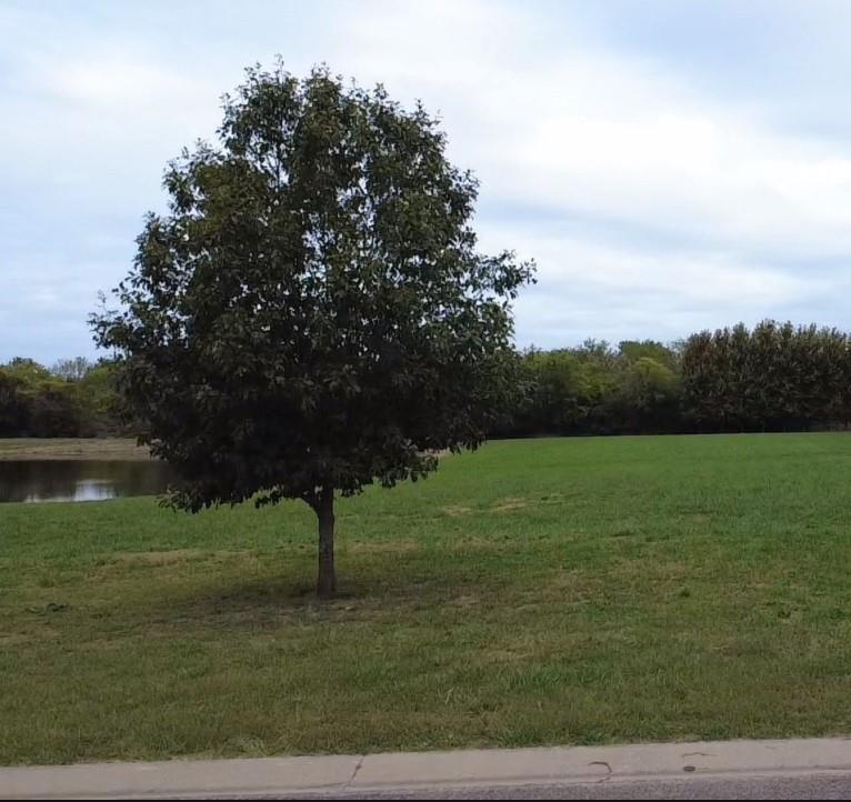 27506 Oakhaven Dr, Greenwood, MO 64034