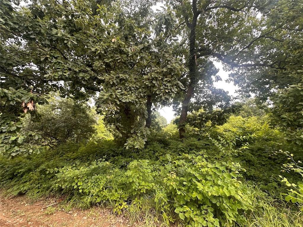 0000 Hickory Ln, Ozawkie, KS 66070