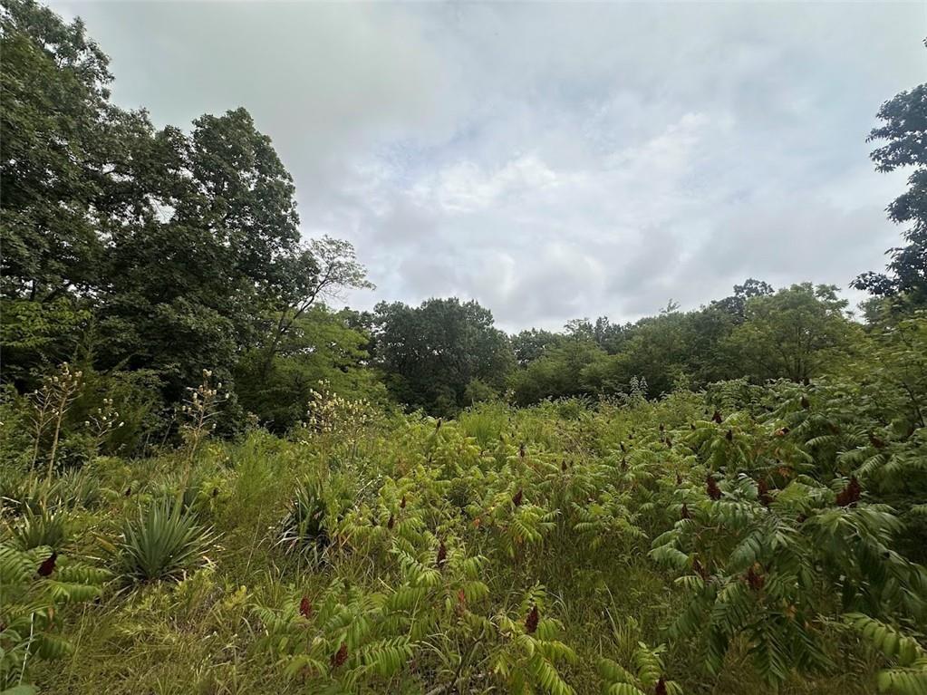 0000 Hickory Ln, Ozawkie, KS 66070