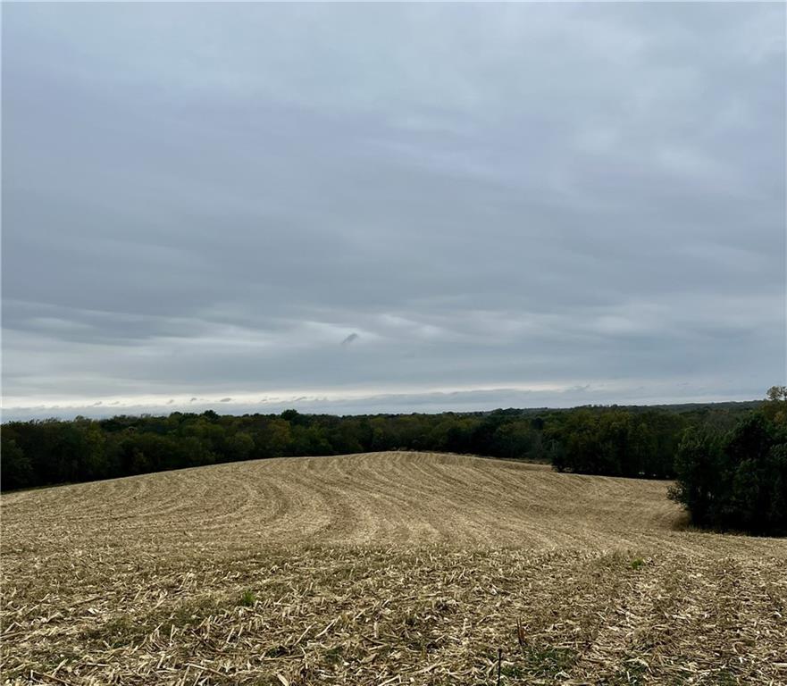 Tract 2 County Road 422 Rd, Amazonia, MO 64421