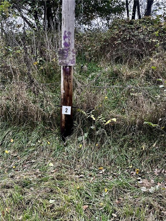 Tract 2 County Road 422 Rd, Amazonia, MO 64421