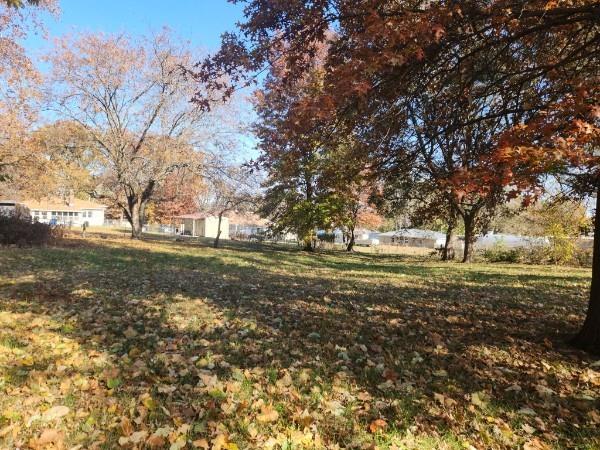 710 W Mason St, Odessa, MO 64076