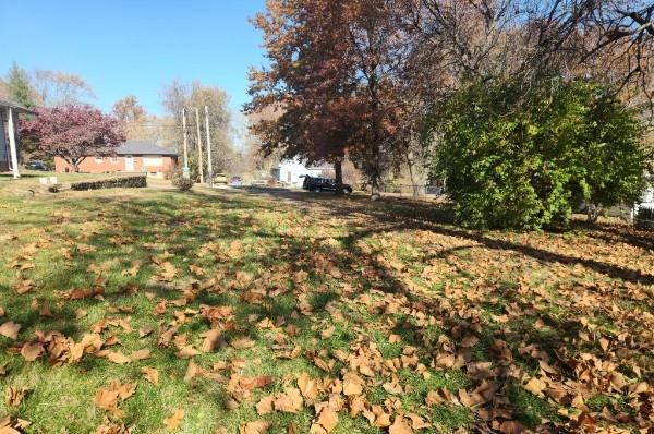 710 W Mason St, Odessa, MO 64076